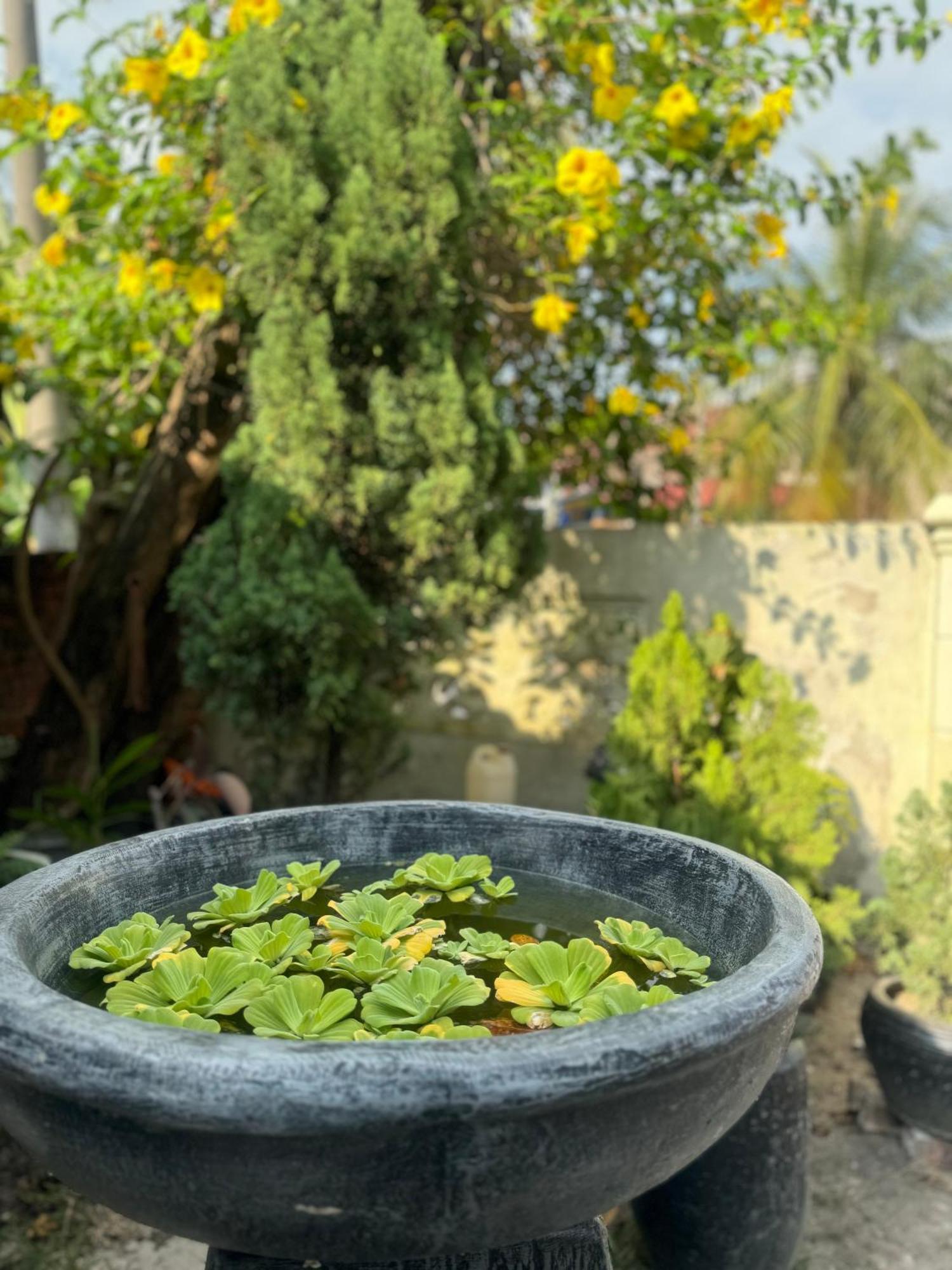 Lelangit Inn بورت ديكسون المظهر الخارجي الصورة